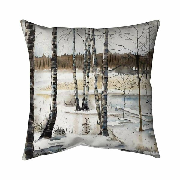 Begin Home Decor 20 x 20 in. Winter Swamp-Double Sided Print Indoor Pillow 5541-2020-LA151